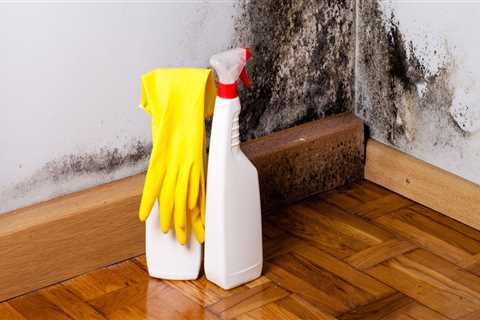 Mold Inspection Matters: Protect Your Home and Health with Early Detection