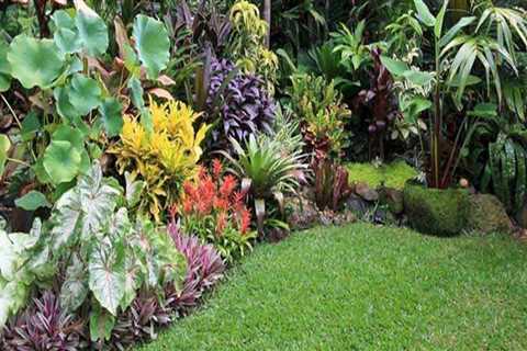 Plant Selection: Choosing the Right Plants for Your Landscape