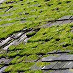Preventing Algae and Moss Growth on Residential and Commercial Roofs