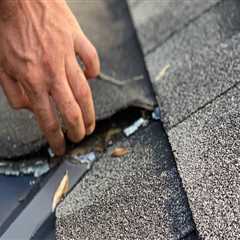 Regularly Checking for Damage: The Importance of Roof Maintenance