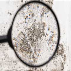 Mold Inspection Matters: How to Detect Hidden Threats and Protect Your Home’s Health