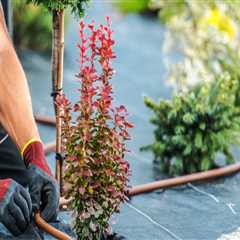 How Do Irrigation Service Providers Support Efficient Groundskeeping Year-Round In Winter Garden,..