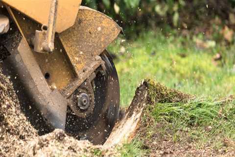 Stump Grinding for Complete Removal: A Comprehensive Guide