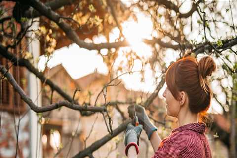 Pruning for Healthy Growth and Shape: The Essential Guide to Keeping Your Trees Beautiful and Strong