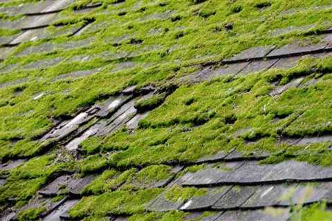 Preventing Algae and Moss Growth on Residential and Commercial Roofs