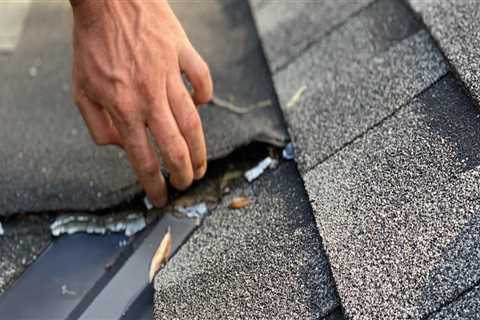 Regularly Checking for Damage: The Importance of Roof Maintenance