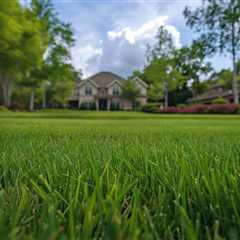 Pre Sale Yard Makeovers: Brisbane Southside And Redland City