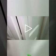 Bathroom Roaches! 🪳😱 You Won't Believe This!