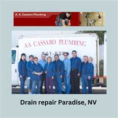 Drain repair Paradise, NV