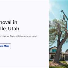 Tree Removal in Taylorsville, Utah