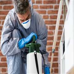 The Ultimate Guide To Outdoor Pest Control In Orlando: Tips From Local Exterminators