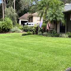 Longwood's Green Oasis: Why Pest Exterminator Services Are Vital For Residential Landscaping