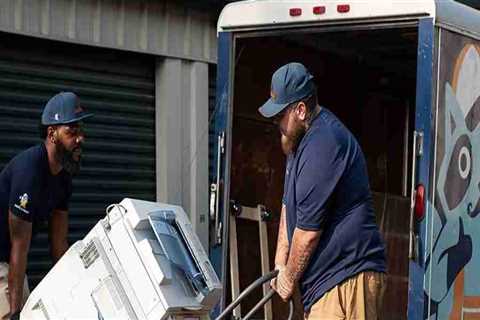 Clear the Clutter: How Junk Removal Services Create Clean, Livable Spaces