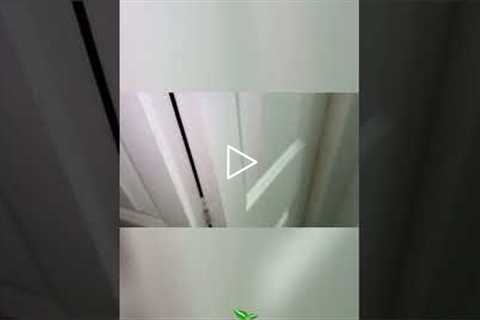 Bathroom Roaches! 🪳😱 You Won't Believe This!