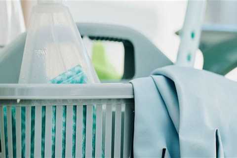 The Essential Role Of House Cleaners In Preparing Trent Homes For Mold Inspections