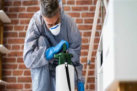 The Ultimate Guide To Outdoor Pest Control In Orlando: Tips From Local Exterminators