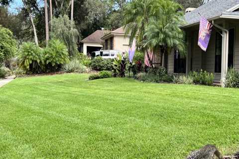 Longwood's Green Oasis: Why Pest Exterminator Services Are Vital For Residential Landscaping