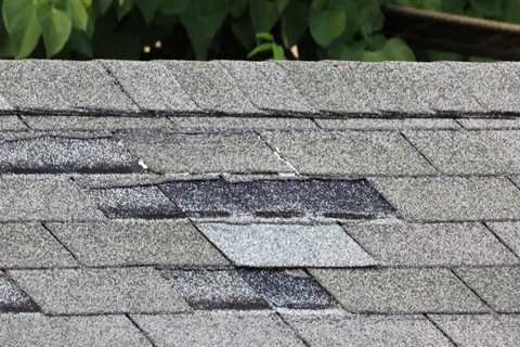 Can You Patch a Roof or Is Full Replacement Necessary