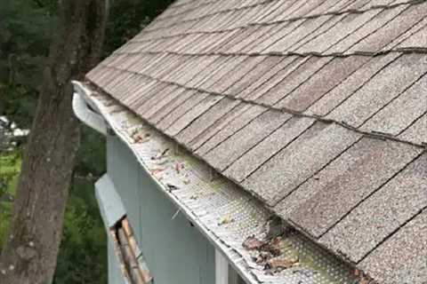 Gutter guard replacement Reading, PA · Monday, Jun 16 📸