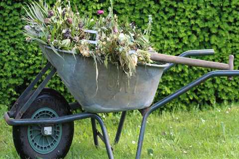 Why Paving Contractors In Portland, OR, Need Skilled Landscapers On Their Team