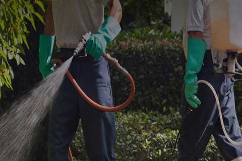Pest Control Solutions In Ladson That Target Kitchen Cabinet Infestations