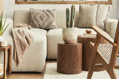 Understanding Why Pest Extermination Services In Orlando, FL, Are Essential For Successful Home..