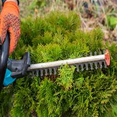 The Role of Groundskeeping in Preserving Safe and Welcoming Outdoor Areas