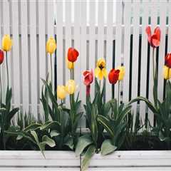 How Does A Fence Contractor In Tigard Help You Choose The Perfect Fence Style That Matches Your..