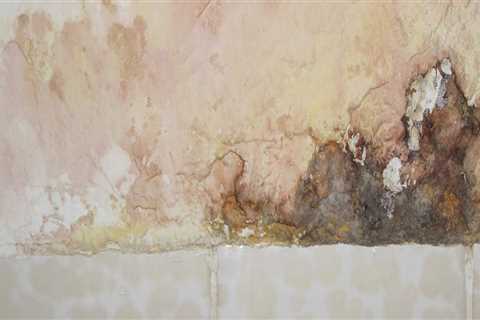 Early Detection, Health Protection: Why Mold Inspections Matter