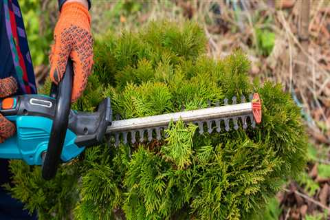The Role of Groundskeeping in Preserving Safe and Welcoming Outdoor Areas