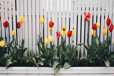 How Does A Fence Contractor In Tigard Help You Choose The Perfect Fence Style That Matches Your..
