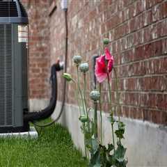 How AC Maintenance and Service Improve Efficiency and Lower Bills