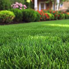 Cleveland Lawn Mowing And Gardening Services