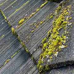 Why Professional Roof Cleaning Is Essential After Your Residential Roof Repair In Vancouver, WA
