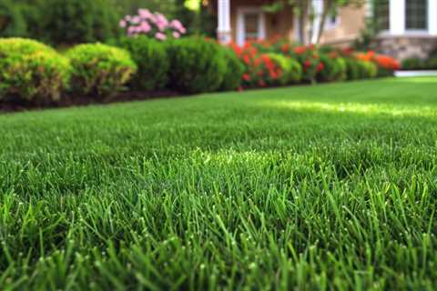 Cleveland Lawn Mowing And Gardening Services