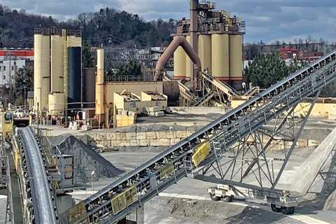 Why Bug Control Is Essential For Longevity In Asphalt Paving: A Las Vegas Perspective