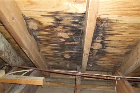 How Roof Leaks Can Lead to Mold and Structural Damage