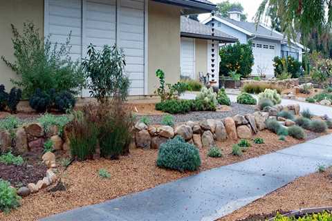 The Role of Front Yard Landscaping in Rainwater Harvesting
