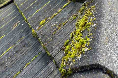 Why Professional Roof Cleaning Is Essential After Your Residential Roof Repair In Vancouver, WA