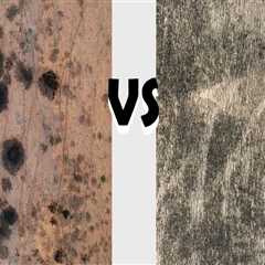 How Mold Remediation Differs Between New Builds and Older Homes