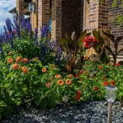 Landscaping Midland, TX