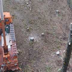 Benefits Of Hiring An Excavation Contractor In New Hampton, NH For Your Land Clearing Project