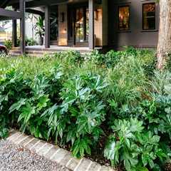 How Landscape Architects Create Functional and Beautiful Outdoor Spaces