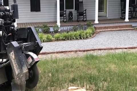 Why Stump Grinding Matters For Professional Landscaping Services In Damascus, OR