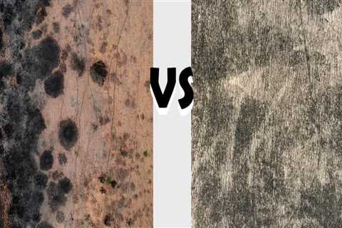 How Mold Remediation Differs Between New Builds and Older Homes