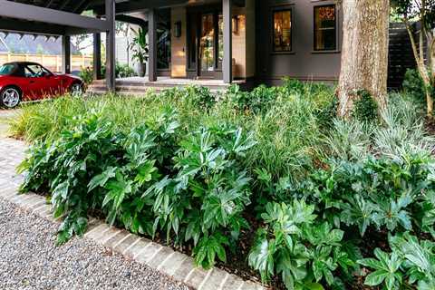 How Landscape Architects Create Functional and Beautiful Outdoor Spaces