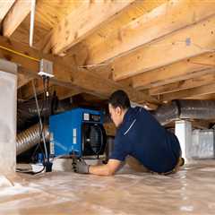 How Wood Rot Quietly Spreads Through Beam Systems—And How Pros Stop It