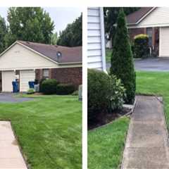 Why Concrete Surfaces Near Landscaping Need Regular Soft Washing