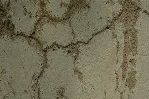 Why Every Vancouver Resident Needs A Reliable Water Damage Cleanup Company For Gas Plumbing..