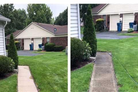 Why Concrete Surfaces Near Landscaping Need Regular Soft Washing